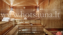 Naujas modernus pirties saunos dizainas