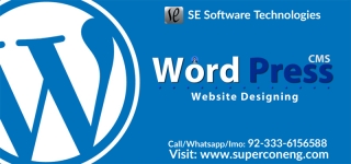 Affordable and Quality Wordpress Website development