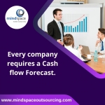 Every company requires a Cash flow Forecast..png