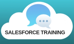 salesforce-training.png