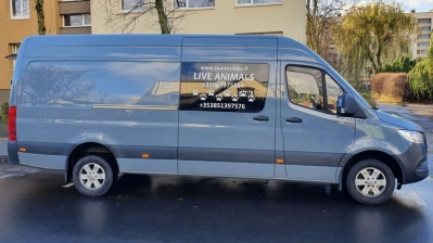www.siuntoslaiku.lt  Iš Airijos sausio 20 dieną. Iš Lietuvos sausio 27  dieną