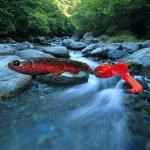 20251101_080156 (1).png