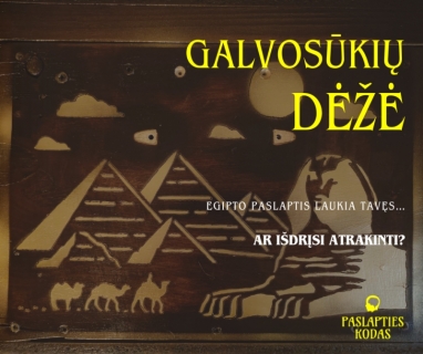 _Escape Room The Mystery Novel Book Cover („Facebook“ įrašas).png